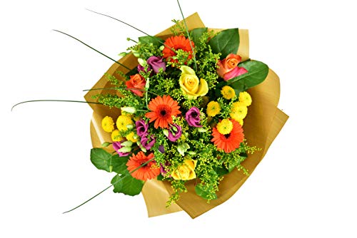 Jolie Bouquet- Fresh Flowers Next Day Delivery Prime is a Lovely Gift for All Occasion-Easter- Birthday- Thank You- Get Well Soon- Fresh Flowers Beauty Gift