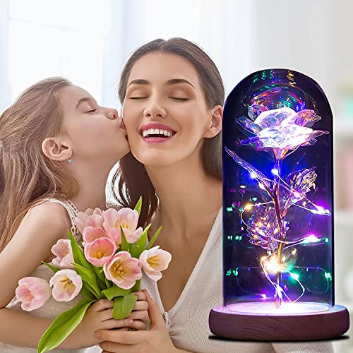 Beauty and the Beast Rose, Best Mom's Gift