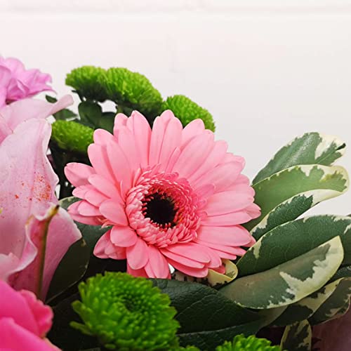 Pink Simplicity Hand Tied Fresh Flowers, Fresh Flowers Delivered Next Day Prime Delivery, Flowers Fresh Bouquet, Perfect for Birthdays, Anniversaries and Thank You Gifts