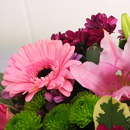 Pink Simplicity Hand Tied Fresh Flowers, Fresh Flowers Delivered Next Day Prime Delivery, Flowers Fresh Bouquet, Perfect for Birthdays, Anniversaries and Thank You Gifts