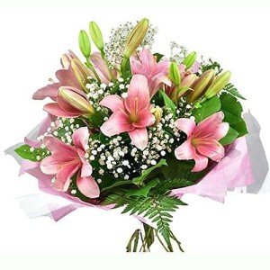 Pink Lilies - Fresh Cut Flower Birthday, Anniversary Next Day delivery Prime Thank You, All Occasion, .
