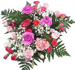 Pink Mixed Carnation Bouquet - Next Day Delivery