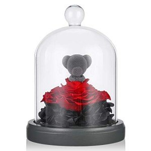 Preserved Eternal Rose Teddy Bear with LED Lights