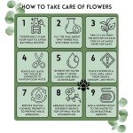 ZING Fresh Flowers Next Day delivery - Let Them Know You’re Thinking of Them with A Gorgeous Bouquet Flowers,