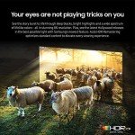 Samsung 75" 8K Smart Neo QLED TV