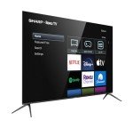 Sharp 55" AQUOS OLED 4K Roku TV Bundle
