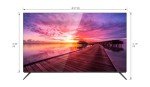 Sharp 55" AQUOS OLED 4K Roku TV Bundle
