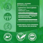 Pure Organic Moringa Powder for Smoothies & Recipes