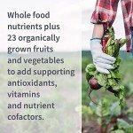 Raw B Complex - Garden of Life