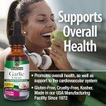 Garlic Extract 1 FL Oz  by Nature's Answer