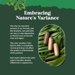 Extra Strength Saw Palmetto Extract by Natures Craft