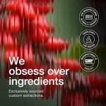 Toniiq Ultra High Purity Concentrated Berberine Supplement-90 Capsules