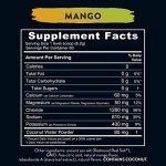 Re-Lyte Mango Electrolyte Hydration Mix