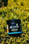 Re-Lyte Mango Electrolyte Hydration Mix