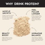 Just Ingredients Vanilla Protein Powder - 15 Servings
