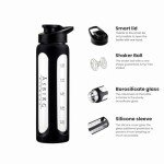Glass Protein Shaker Bottle with Spiral Ball - Black