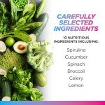 Livingood Daily Greens Powder - Super Greens Supplement