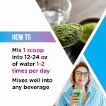 Livingood Daily Greens Powder - Super Greens Supplement