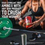 BSN Amino X Muscle Recovery Powder - Fruit Punch