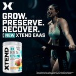 Scivation XTEND EAA + BCAA Powder - Mango Flavor