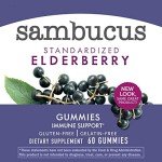 Nature's Way Elderberry Immune Gummies for All Ages