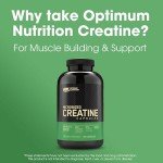 Optimum Nutrition Micronized Creatine Capsules, 200ct