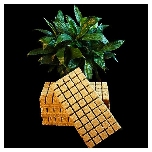 CastleGreens Rockwool Grow Cubes for Hydroponics