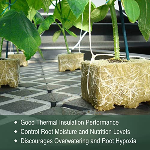 Rockwool Cubes for Hydroponic Growing – 200 Pieces