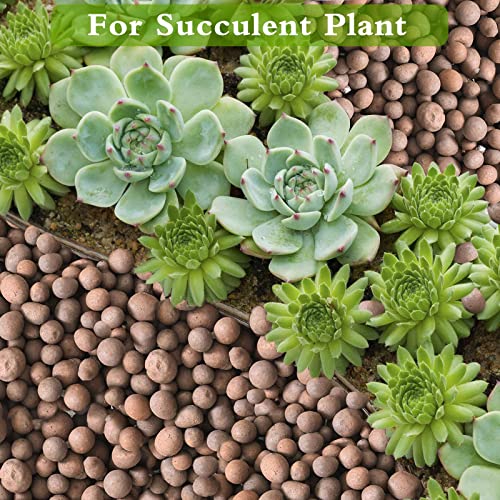 Organic Clay Pebbles for Hydroponic Plant Growth