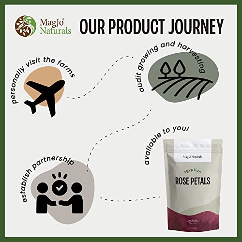 MagJo Naturals 100% Pure Coco Coir Block