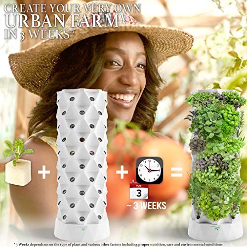 Hydroponic Tower for Indoor Plants - Nutraponics