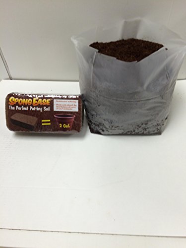 Coconut Coir Brick for Hydroponic Seedlings and Plants