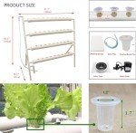 36-Hole Hydroponic Growing System with Water Pump