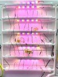 PVC Hydroponics Growing System for 54 Plants