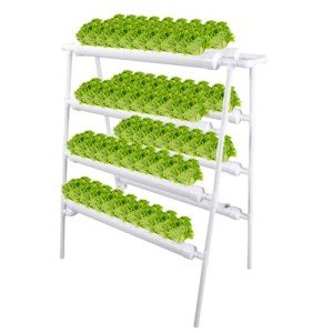 LAPOND 72-Site Hydroponic Growing System Kit