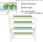 36-Hole Hydroponic Growing System with Water Pump