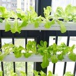 PVC Hydroponics Growing System for 54 Plants