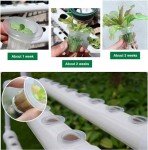 72-Hole Hydroponic Gardening System with Water Pump