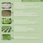 72-Hole Hydroponic Gardening System with Water Pump