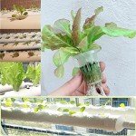 36-Site Vertical Hydroponic Grow System Kit