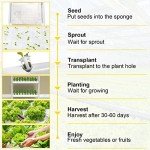 VEVOR 36-Site Hydroponic Indoor Grow Kit