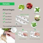 VIVOSUN 108 Site Hydroponic Growing System Kit