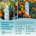 MARPHYL Organic All-Purpose Liquid Fertilizer