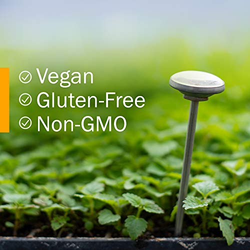 Certified Organic Echinacea Liquid Extract - 1oz