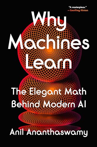 The Elegant Math of Modern AI Learning