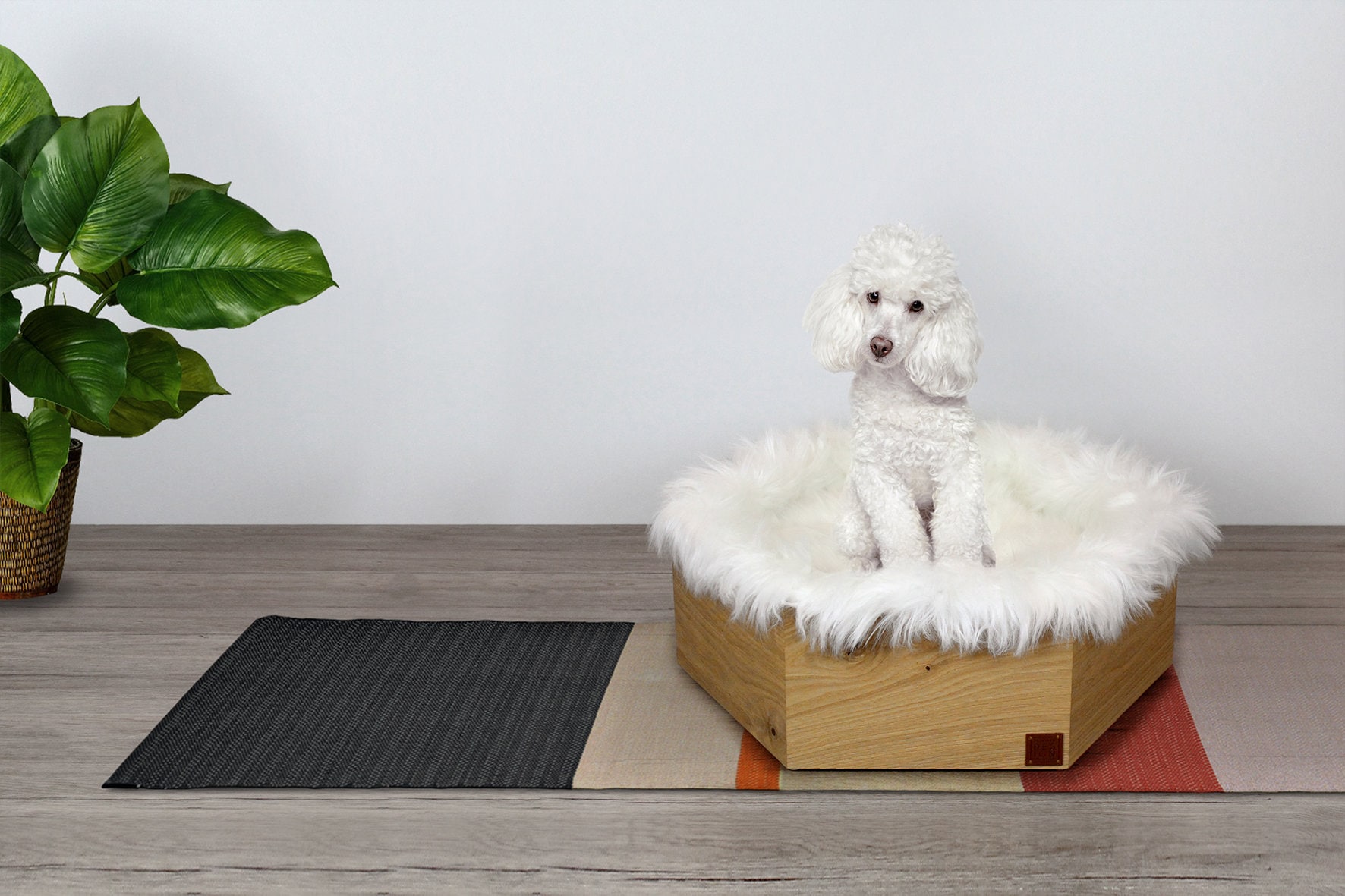 Stylish Wooden Kennel for Dogs and Cats