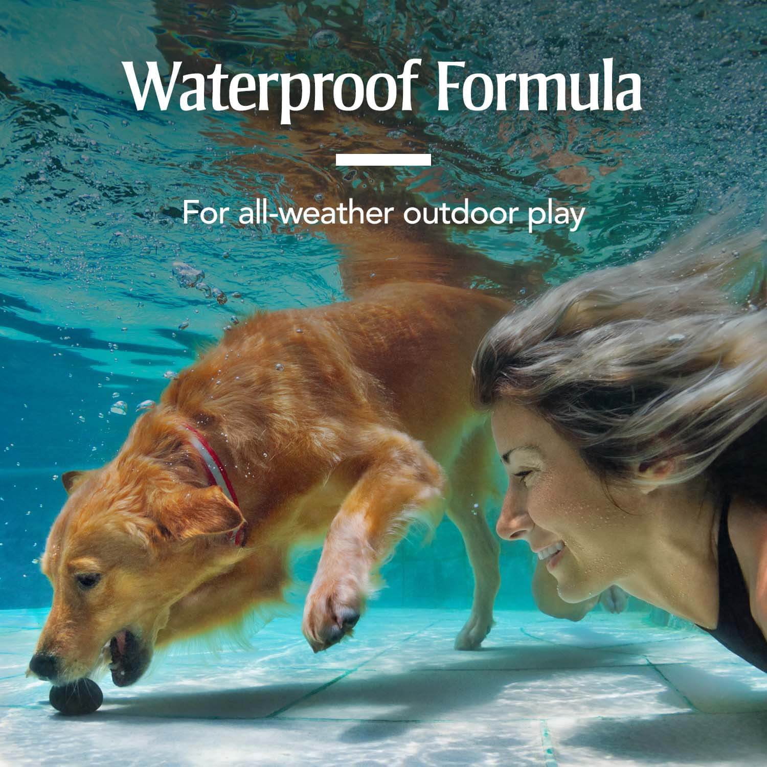 Small Dog Flea & Tick Prevention, 3 Months