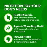 Iams Mini Chunks Dog Food - 7 lbs