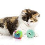 SmartyKat (2 Count Fuzzy Friends Plush Catnip Ball Cat Toys - Rainbow/Turquoise, 2 Count