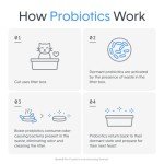 Boxie® Probiotic 40 Day Natural Odor Control Cat Litter, 28lb Clumping Clay Kitty Litter